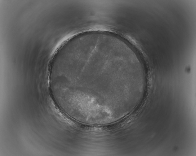 X0000115661408200912031322