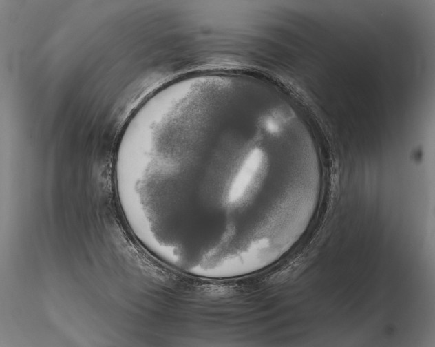 X0000115661409200912031322