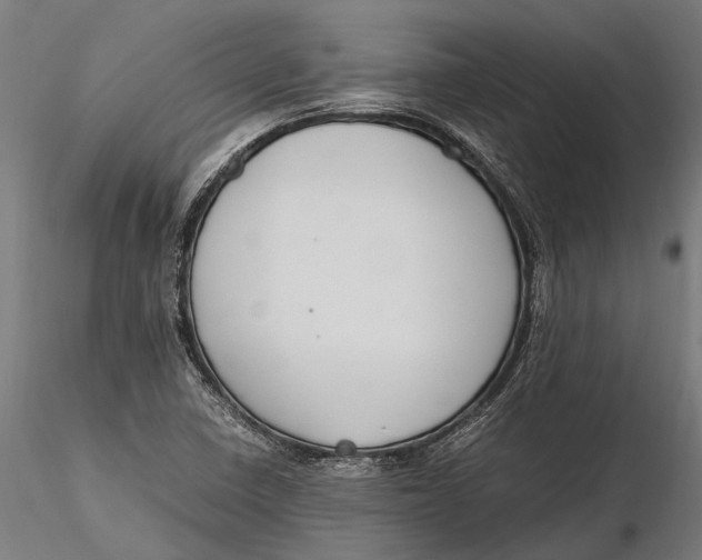 X0000115661410200912031322