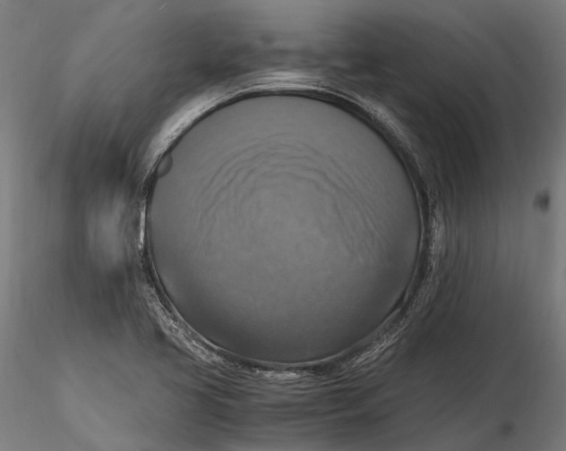 X0000115661413200912031322