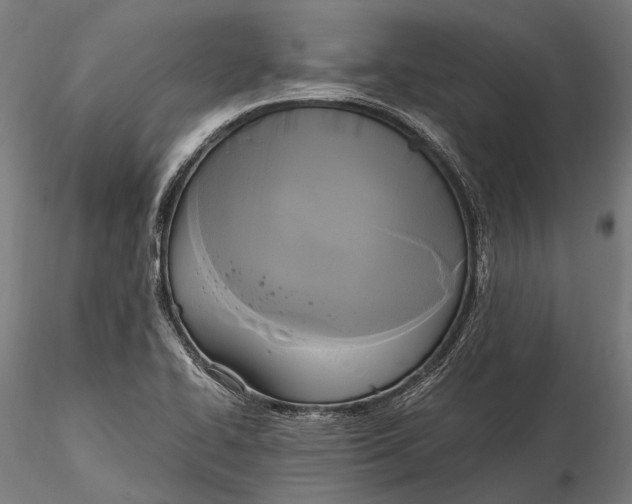 X0000115661414200912031322