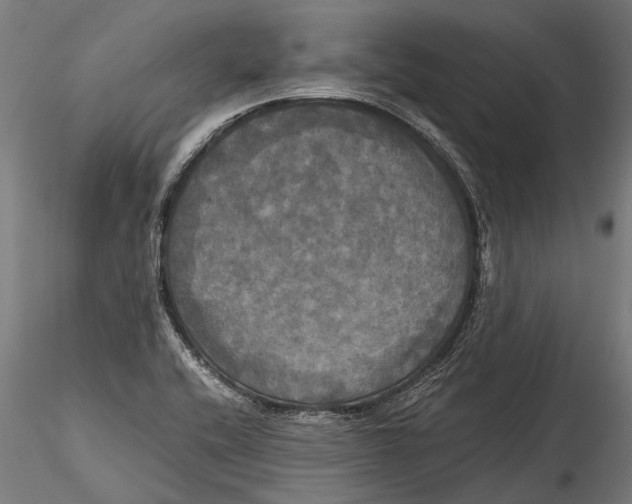 X0000115661416200912031322