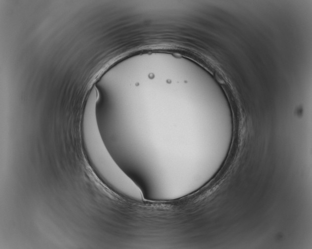 X0000115661417200912031322