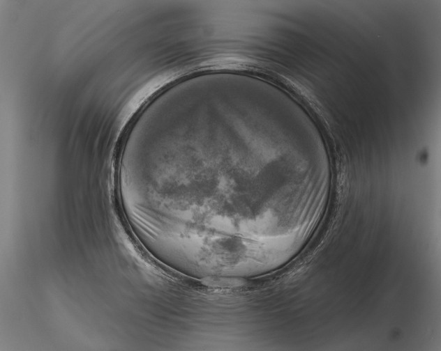 X0000115661418200912031322
