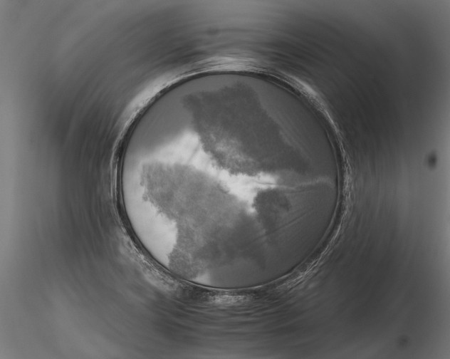 X0000115661419200912031322