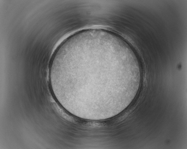 X0000115661420200912031322