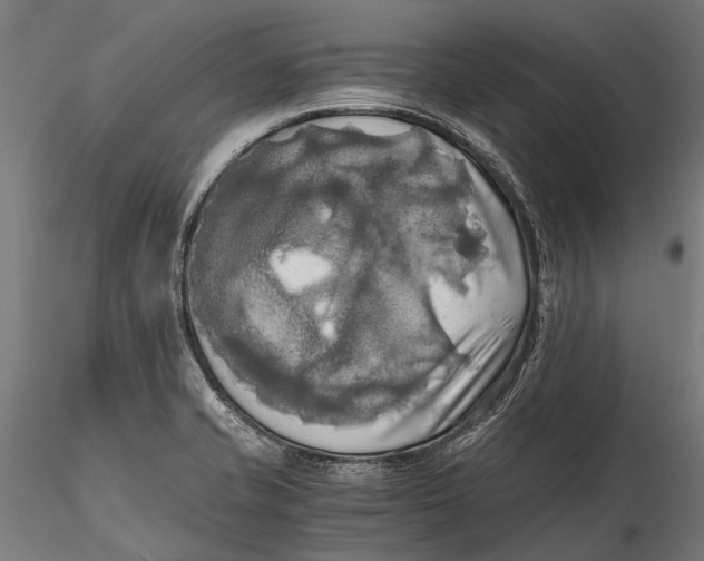 X0000115661421200912031322