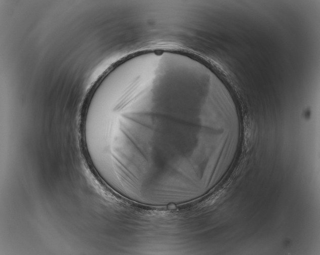 X0000115661422200912031322
