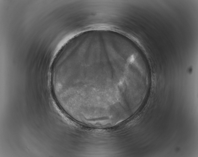 X0000115661424200912031322