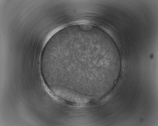 X0000115661426200912031322