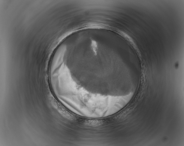 X0000115661427200912031322