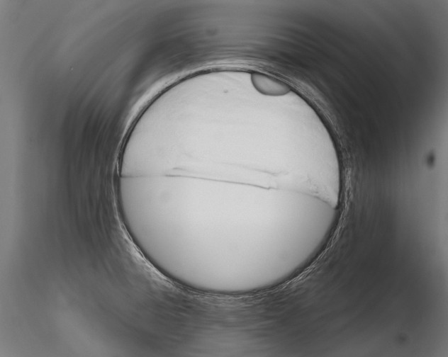 X0000115661428200912031322