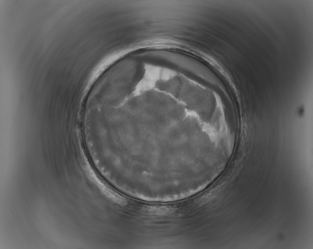 X0000115661429200912031322