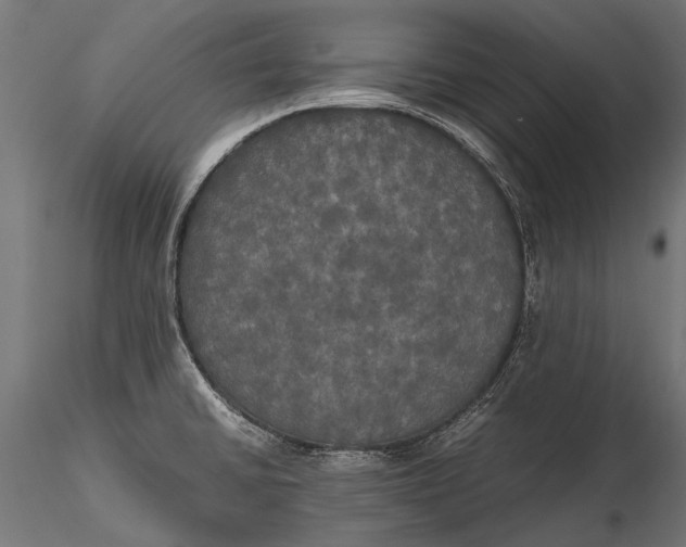 X0000115661430200912031322
