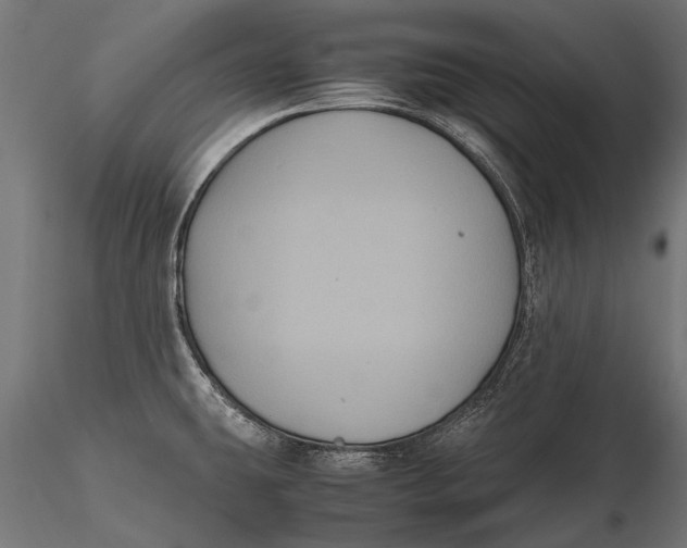 X0000115661431200912031322