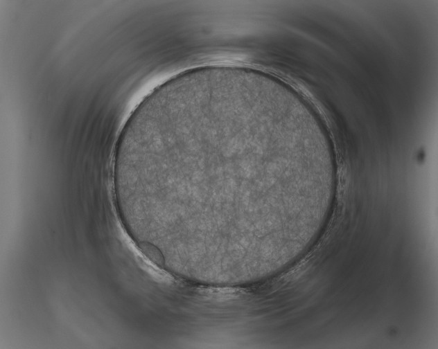 X0000115661432200912031322