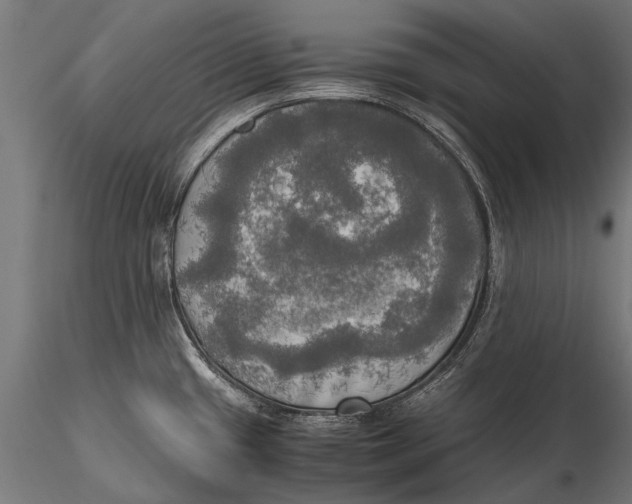 X0000115661433200912031322