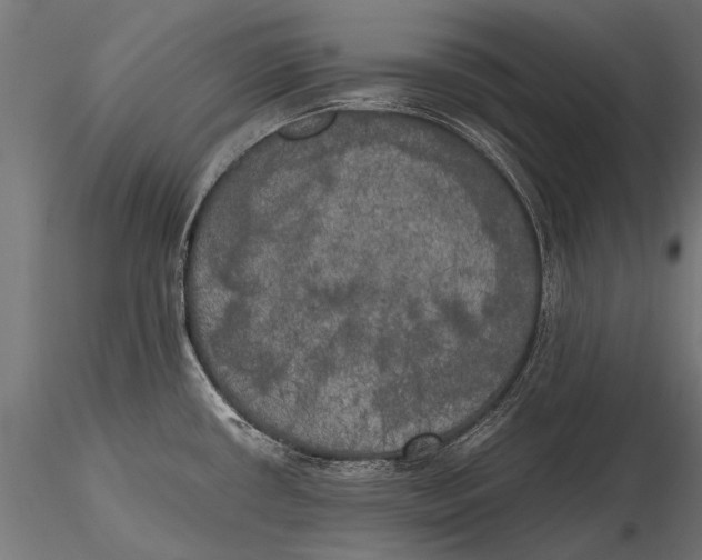 X0000115661434200912031322