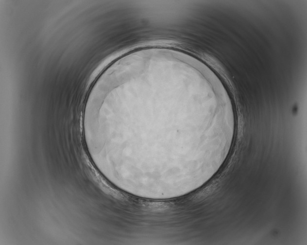 X0000115661436200912031322