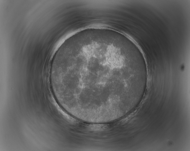 X0000115661437200912031322