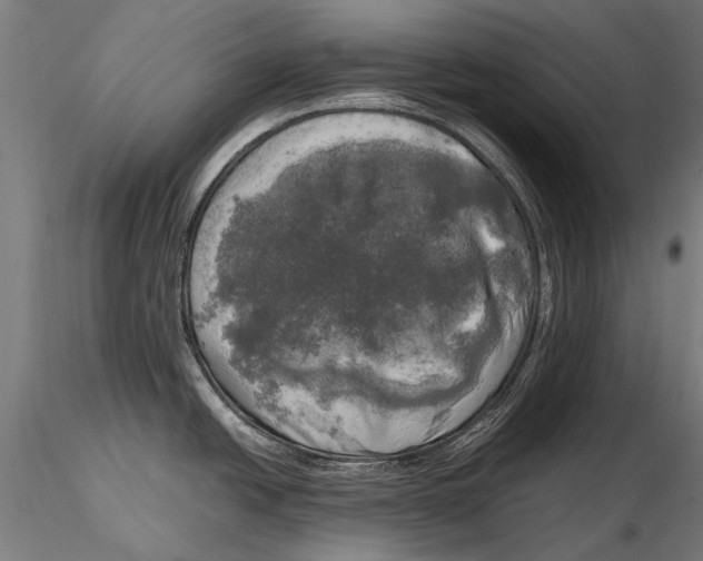X0000115661438200912031322