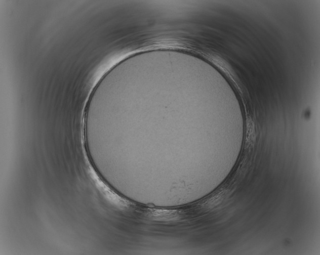 X0000115661439200912031322