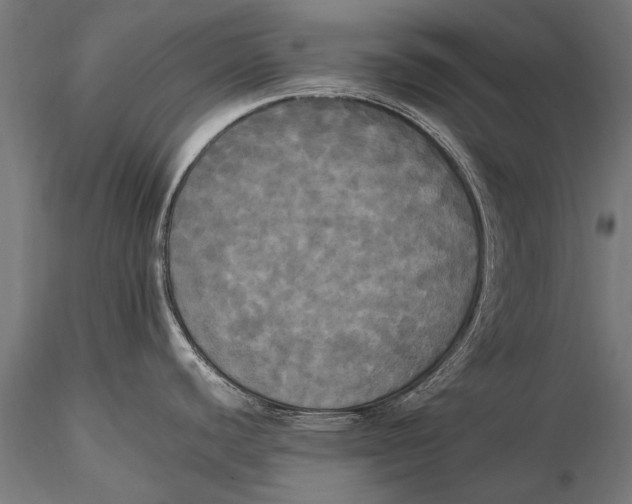 X0000115661440200912031322