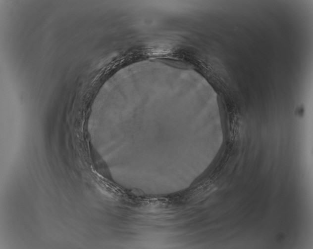 X0000115661441200912031322