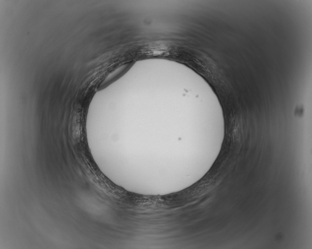 X0000115661442200912031322