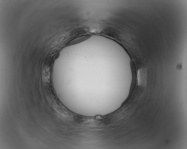 X0000115661443200912031322