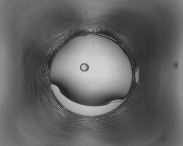 X0000115661444200912031322