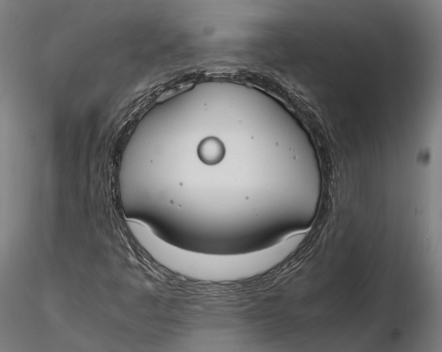 X0000115661445200912031321