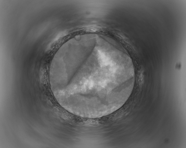 X0000115661446200912031321