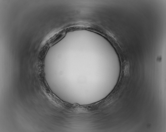 X0000115661448200912031321