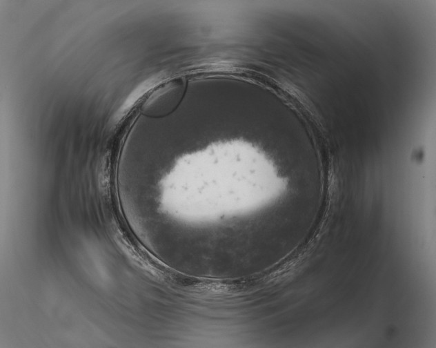 X0000115661450200912031321