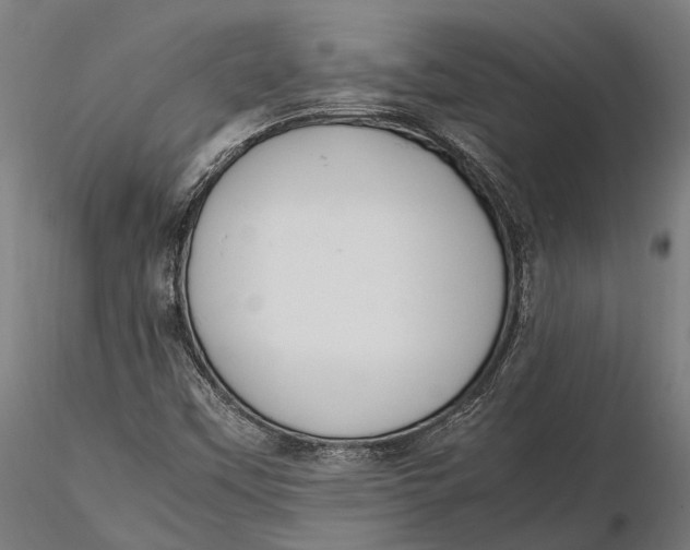X0000115661451200912031321