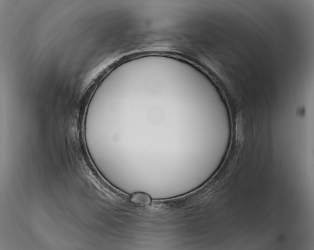 X0000115661452200912031321