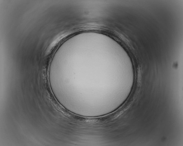 X0000115661453200912031321