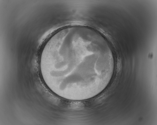 X0000115661454200912031321