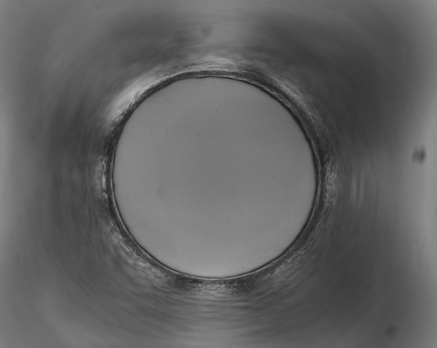 X0000115661455200912031321