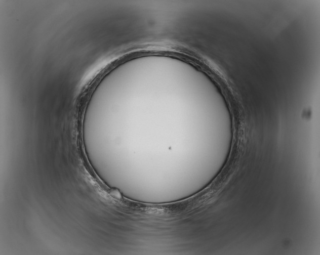 X0000115661456200912031321