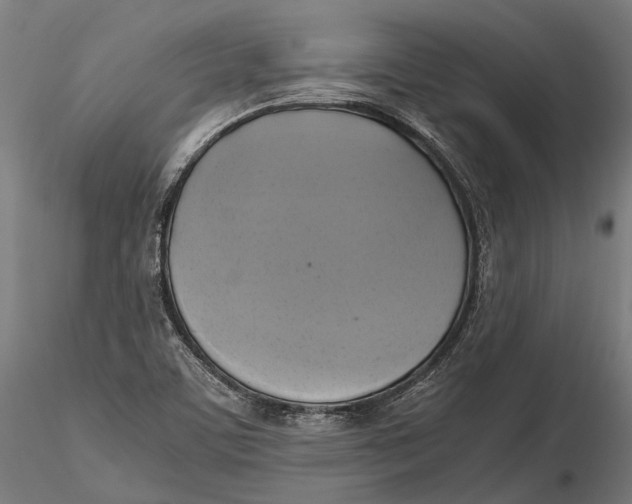X0000115661459200912031321