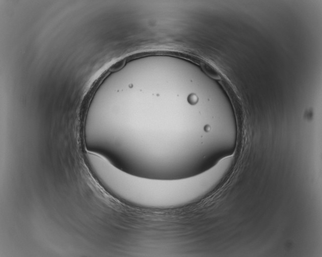 X0000115661460200912031321