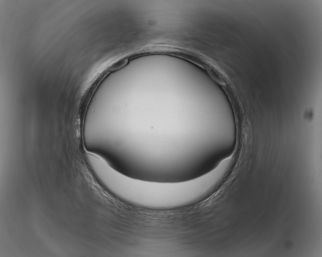 X0000115661461200912031321
