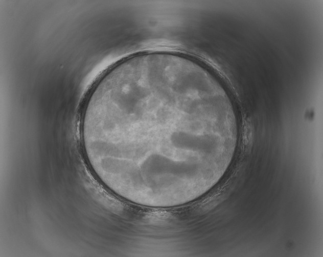 X0000115661462200912031321
