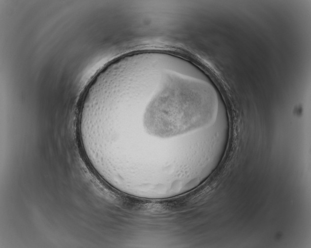 X0000115661463200912031321