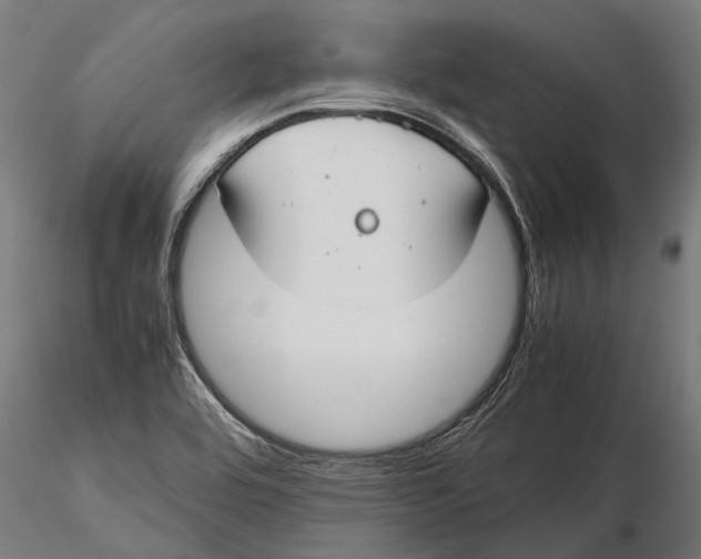 X0000115661464200912031321