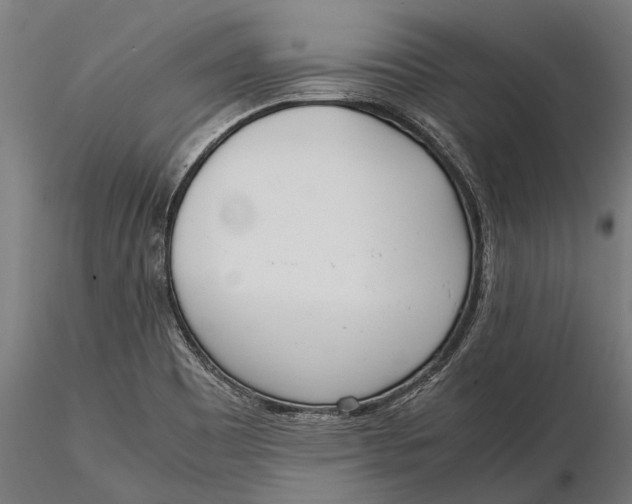 X0000115661465200912031321