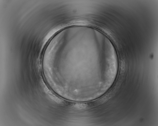 X0000115661466200912031321