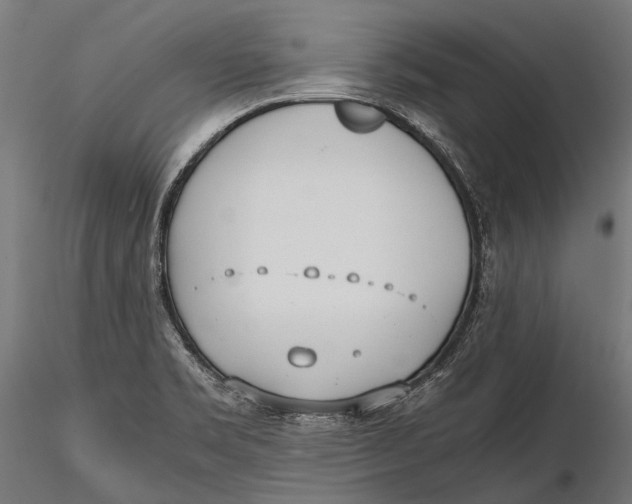 X0000115661469200912031321